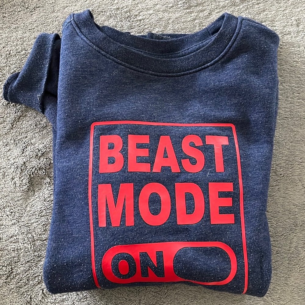 Cat and Jack Boys Crewneck Sweatshirt Size XL (16)